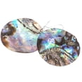thumbnail image 2 of Round Paua Abalone Shell Disc 925 Sterling Silver Earrings, 2", 2 of 2