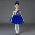 thumbnail image 3 of BRGZLK Dresses for Girls Peony Flower Sequin Puffy Skirt Sleeveless Round Neck Girl Mesh Straps Dress Performance Dress Blue 11-12 Years, 3 of 5