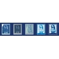 thumbnail image 4 of Cyanotype Set, 4 of 20