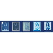 Cyanotype Set