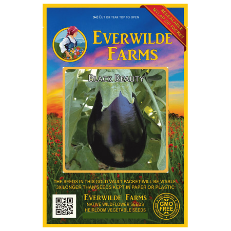Everwilde Farms - 250 Black Beauty Eggplant Seeds - Gold Vault Jumbo Bulk Seed (Best Eggplant To Grow)