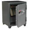 First Alert 3.12 cu. ft. Steel Fire and Anti-Theft Safe with Combination Lock, 2700F