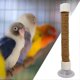 thumbnail image 2 of Parrot Shower Perch Mirror Parakeet Rack Suction Cup Portable Cage Toy For Cockatoo Macaw Parakeet Window Bath Use, 2 of 5