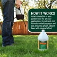 thumbnail image 4 of Medina Hasta Gro Lawn Food Fertilizer 12-4-8, 1 gal., 4 of 7
