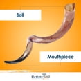 thumbnail image 2 of Shofar Halleluyah Kudu original kosher totalmente pulido de Israel, 2 of 7