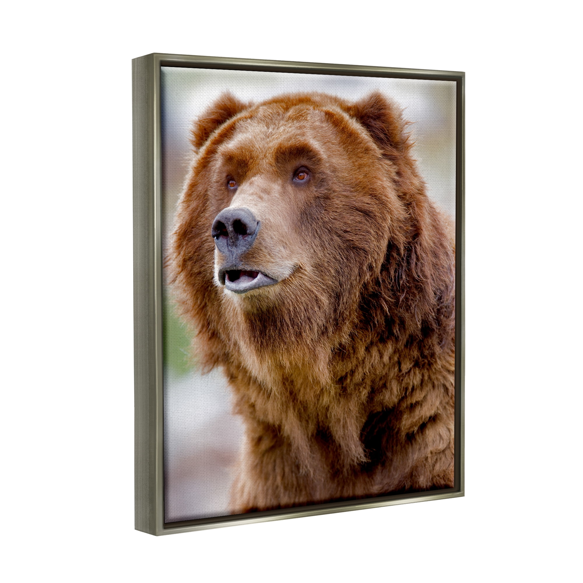 Stupell Industries Brown Bear Portrait Animals & Insects Photography Gray Floater Framed Art Print Wall Art, 17 x 21