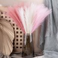 thumbnail image 3 of 5 Sticks Dried Pampas Grass Artificial Pompous Grass Branches Vase Filler For Home Living Room Kitchen Wedding Bohemian Dcor, 3 of 5