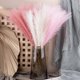 thumbnail image 3 of 5 Sticks Dried Pampas Grass Artificial Pompous Grass Branches Vase Filler For Home Living Room Kitchen Wedding Bohemian Dcor, 3 of 5