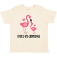 thumbnail image 3 of Inktastic Grandma Loves Me Flamingo Grandchild Gift Girls Toddler T-Shirt, 3 of 5