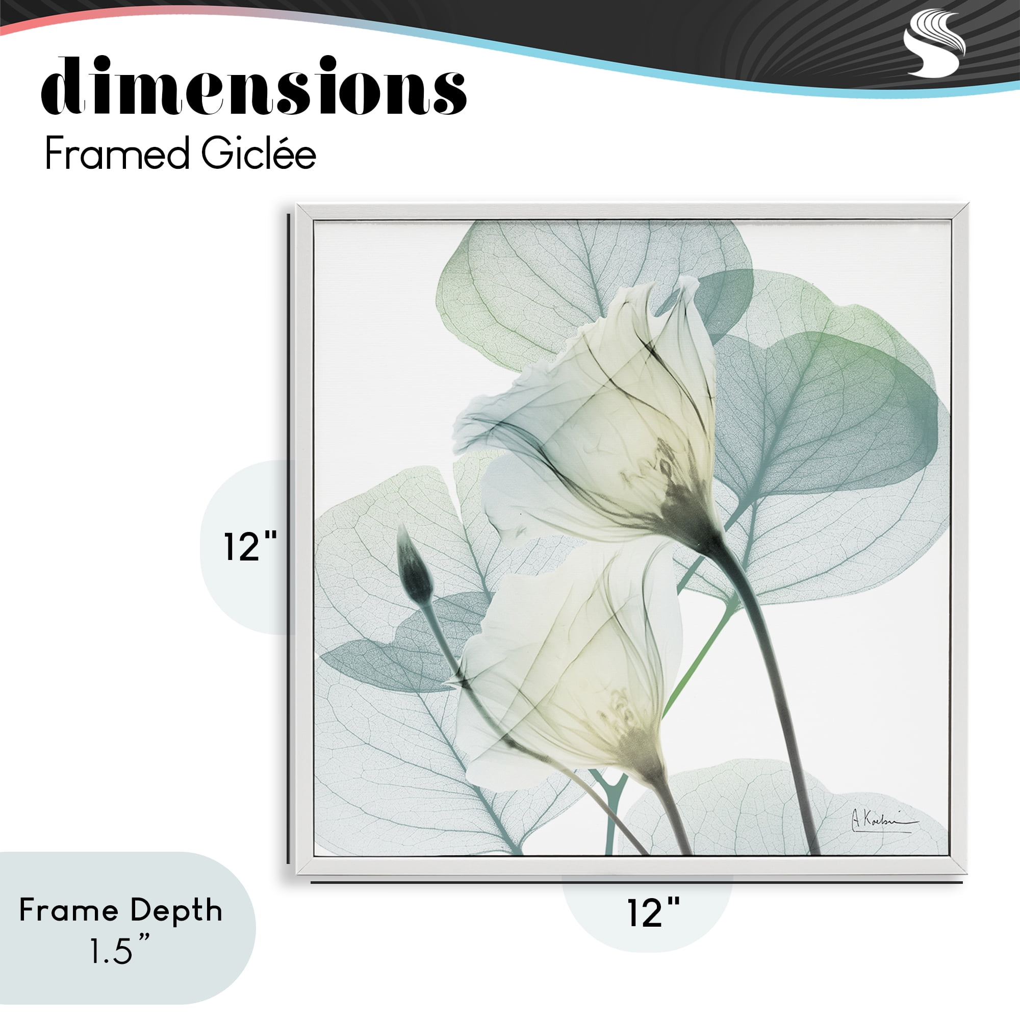 Stupell Industries Divine Fate Petals White Framed Giclee Art, design by Albert Koetsier