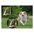 thumbnail image 2 of 4pcs/set Dog Paw Protection Pads Anti Slip Pet Paw Protector Self Adhesive Dog Paw Stickers, 2 of 8