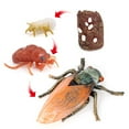 thumbnail image 2 of MesaSe Simulation Insect Plastic Animal Early Growth Preschool Model Miniature Educational Props Cognition Toy for Children, 2 of 9