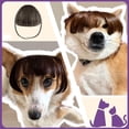 thumbnail image 5 of Cat Wig, 4.68 Inches, Soft Pet Costume Accessory, Fun Dress-Up for Cats and Kittens, 5 of 8