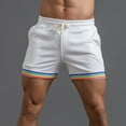 thumbnail image 4 of Men's Rainbow Drawstring Shorts - Lightweight Polyester, Pocket Design, Loose Fit for Beach/Sport, All-Season Wear, 4 of 7