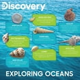 thumbnail image 5 of Discovery Exploring Oceans Identification & Exploration Activity Kit, 5 of 7
