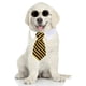 thumbnail image 1 of Negro amarillo l Corbata para mascotas pajarita para perro corbata a rayas para perro bufanda para mascotas escote falso toalla de agua, 1 of 5