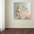 thumbnail image 3 of Trademark Fine Art 'Top of the Sky I' Canvas Art by Sue Schlabach, 3 of 3