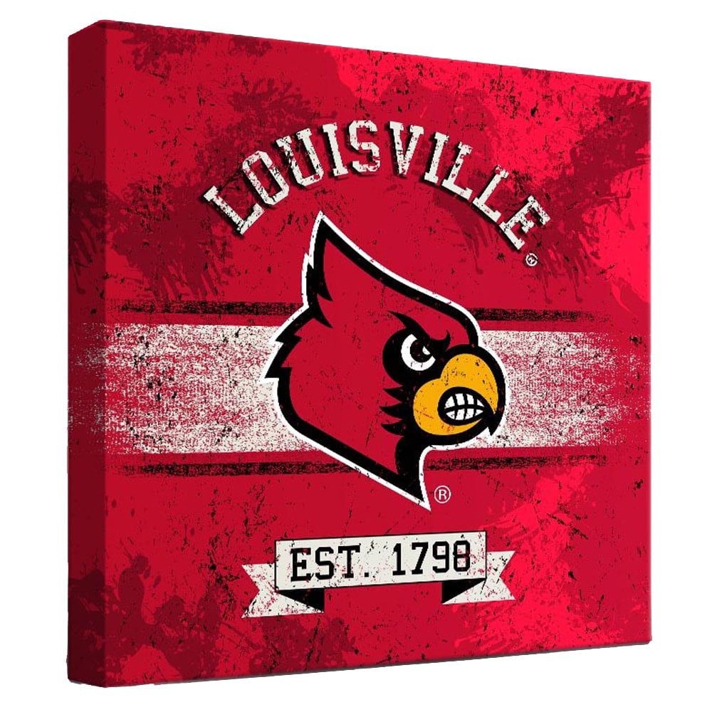 The Party Animal NCAA Louisville Cardinals Fan Banner 