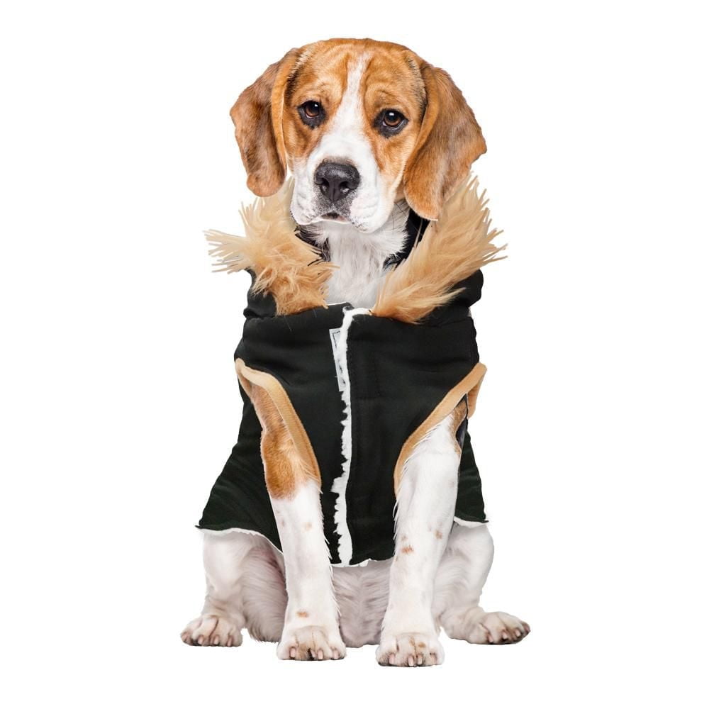 Holiday Time Dog Clothes: Hooded Jacket for Fall & Winter, Black with Faux Toggles, Size XS-XL