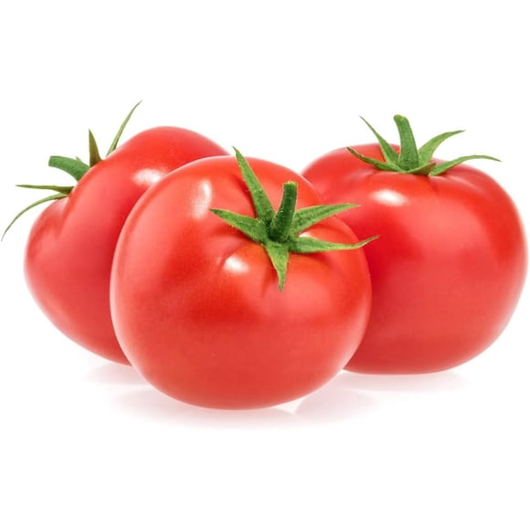 GSDWIUEW 200+ Tomato Seeds for Planting Canada Heirloom Vegetable Seed Hydroponics, Indoor & Outdoor