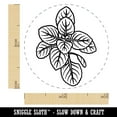 thumbnail image 2 of Oregano Herb Plant Self-Inking Rubber Stamp Ink Stamper - Green Ink - Mini 1/2 Inch, 2 of 7