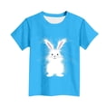 thumbnail image 5 of Boys Girls Easter Outfits Crew Neck Short Sleeve Cute Print Pullover Tops Stylish Casual Holiday T Shirts (14-15Years, Blue), 5 of 5
