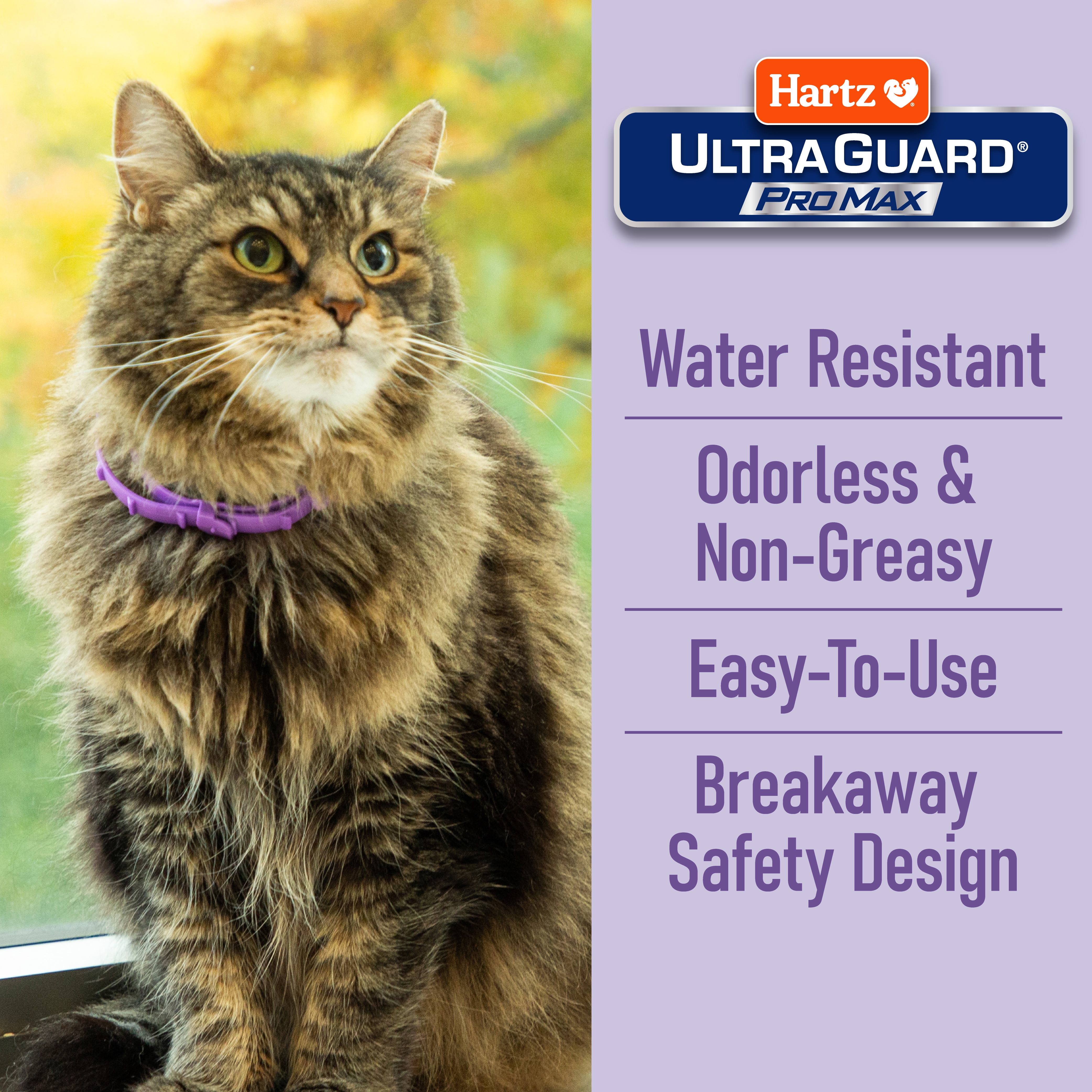 Hartz UltraGuard ProMax Flea & Tick Collar for Cats & Kittens with Comfort Technology, 2 Pack