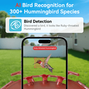 Nafnti Hummingbird Feeder with Camera, Smart Bird Feeder with 3K HD Video, AI Identify 300+ Species, Solar Powered Wireless Outdoor Bird Camera, IP65 Waterproof, for Bird Watching Gift