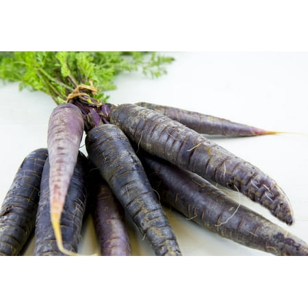Gourmet Market 100 Cosmic Purple Carrot Seeds - gourmet heirloom vegetable seed- natural- Farmers market- Home Garden Favorite ()