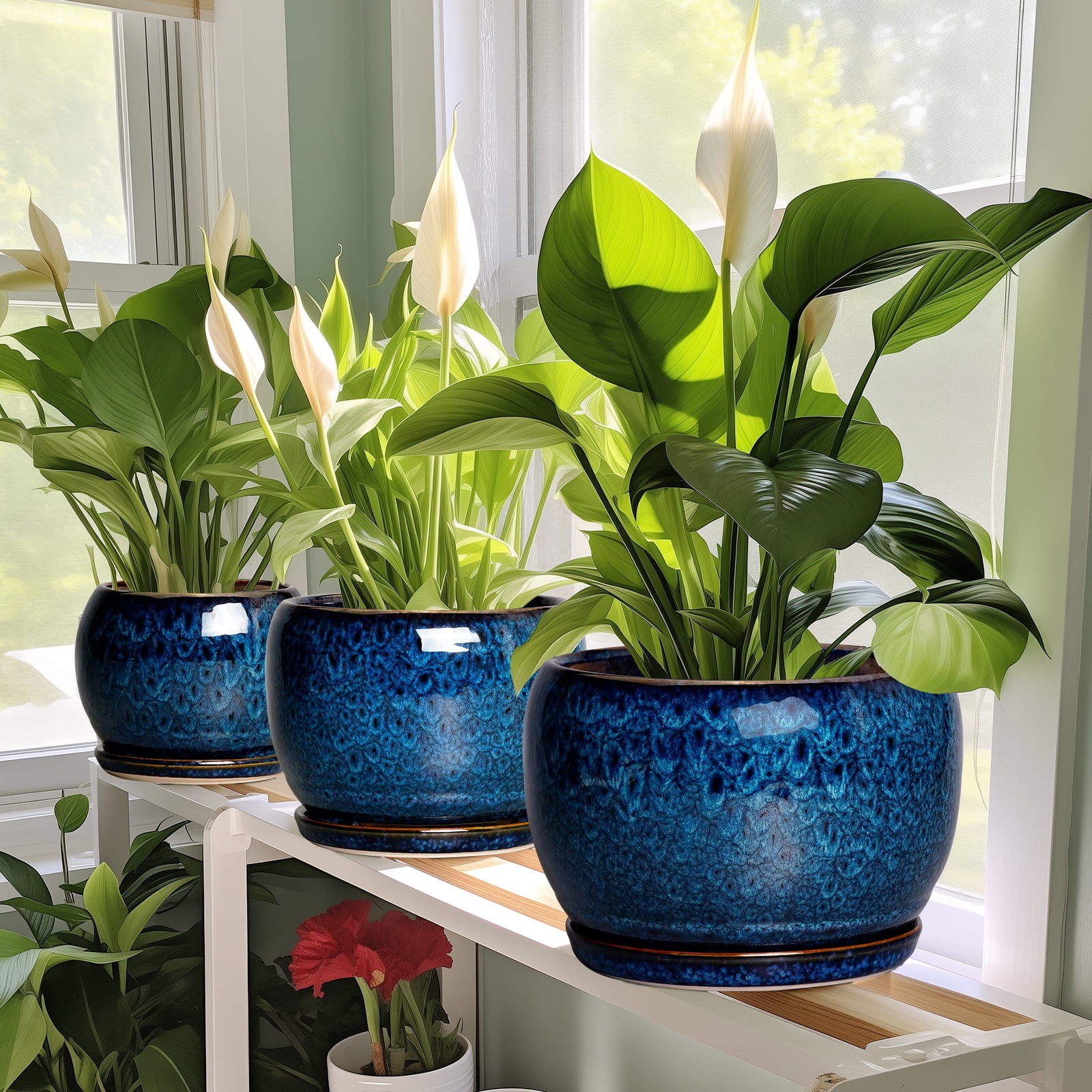 Ordivic 6 inch Blue Glaze Ceramic Plant Pot with Drainage Hole & Saucer, Small Decorative Flower Pots for Succulents & Herbs, Home Decor