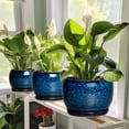 thumbnail image 4 of Ordivic 6 inch Blue Glaze Ceramic Plant Pot with Drainage Hole & Saucer, Small Decorative Flower Pots for Succulents & Herbs, Home Decor, 4 of 7