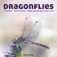 thumbnail image 2 of Dragonflies: Caching, Identifying, How and Where  They Live, 2 of 3