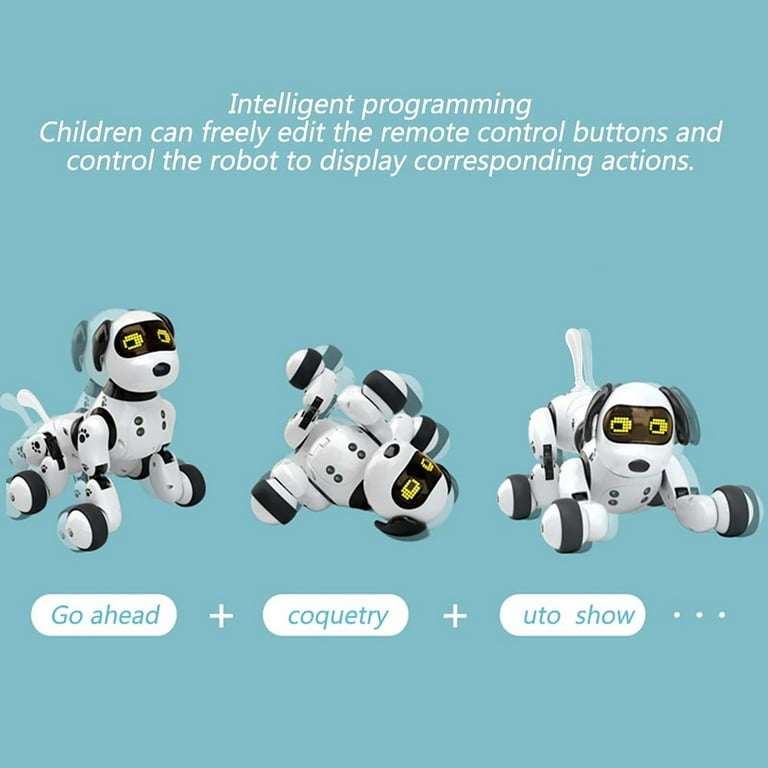 Remote R19 RC Robot Smart Talking Programming Dance Interactive