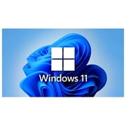 Virtual Windows 11 Pro USB Flash Drive, Multicolor