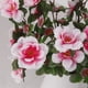 thumbnail image 5 of 4 Piezas De Racimos De Azalea Ramo De Flores Artificial De Decoración De en hogar, 5 of 8