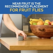 Hot Shot Flying Insect Trap, Captures Fruit & House Flies, 2 Count