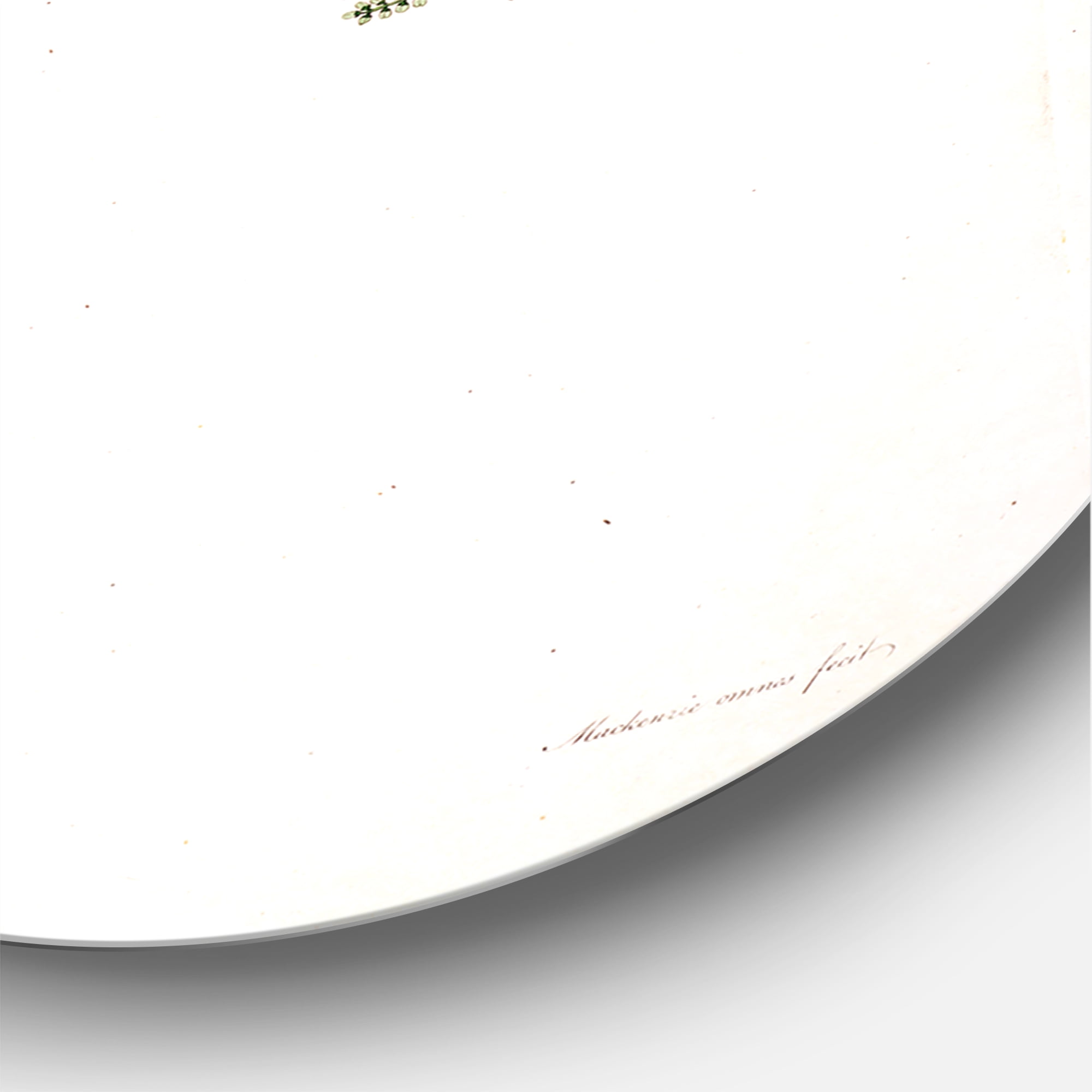 Designart 'Ancient Plant Life XVIII' Farmhouse Circle Metal Wall Art 36x36 - Disc of 36