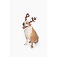 thumbnail image 4 of Midlee Brown Reindeer Dog Antlers Headband Pet Christmas Costume - Large, 4 of 7