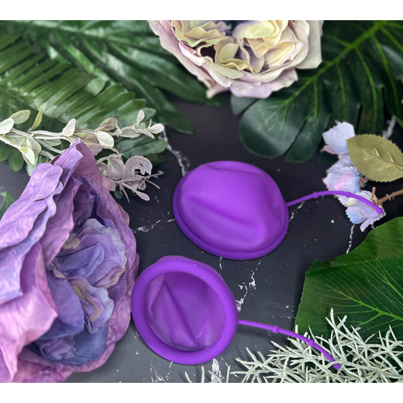 Reusable Period Disc