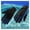 1, variant on 1.5mm Neoprene Gloves Diving Surfing Spearfishing Snorkeling Warm Gloves Surfing Diving Gloves ,Easy to Wear