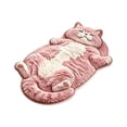 thumbnail image 2 of Lovely Pink Tabby Cat Rug Soft Pashmina Napping Kitty Pad For Girls Room Dresser Vanity Sweet Pet Decor Gift Idea For Kids And Teens Birthday Surprise (40x60cm), 2 of 8