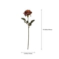 thumbnail image 5 of My Texas House Fall Faux Rose Stem, Light Brown, 20", 5 of 5