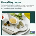 thumbnail image 6 of Soeos Bay Leaves 16 oz (454g), Bay Leaves Bulk, Bay Leaves Dry, Bay Leaf, Laurel Leaves, Natural Laurel Leaf, Natural Dried Bay Leaf, Dried Bay Leaves, Whole Bay Leaves, 6 of 10