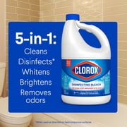 Clorox Disinfecting Liquid Bleach Cleaner, Regular Scent, 121 fl oz, 2 Pack