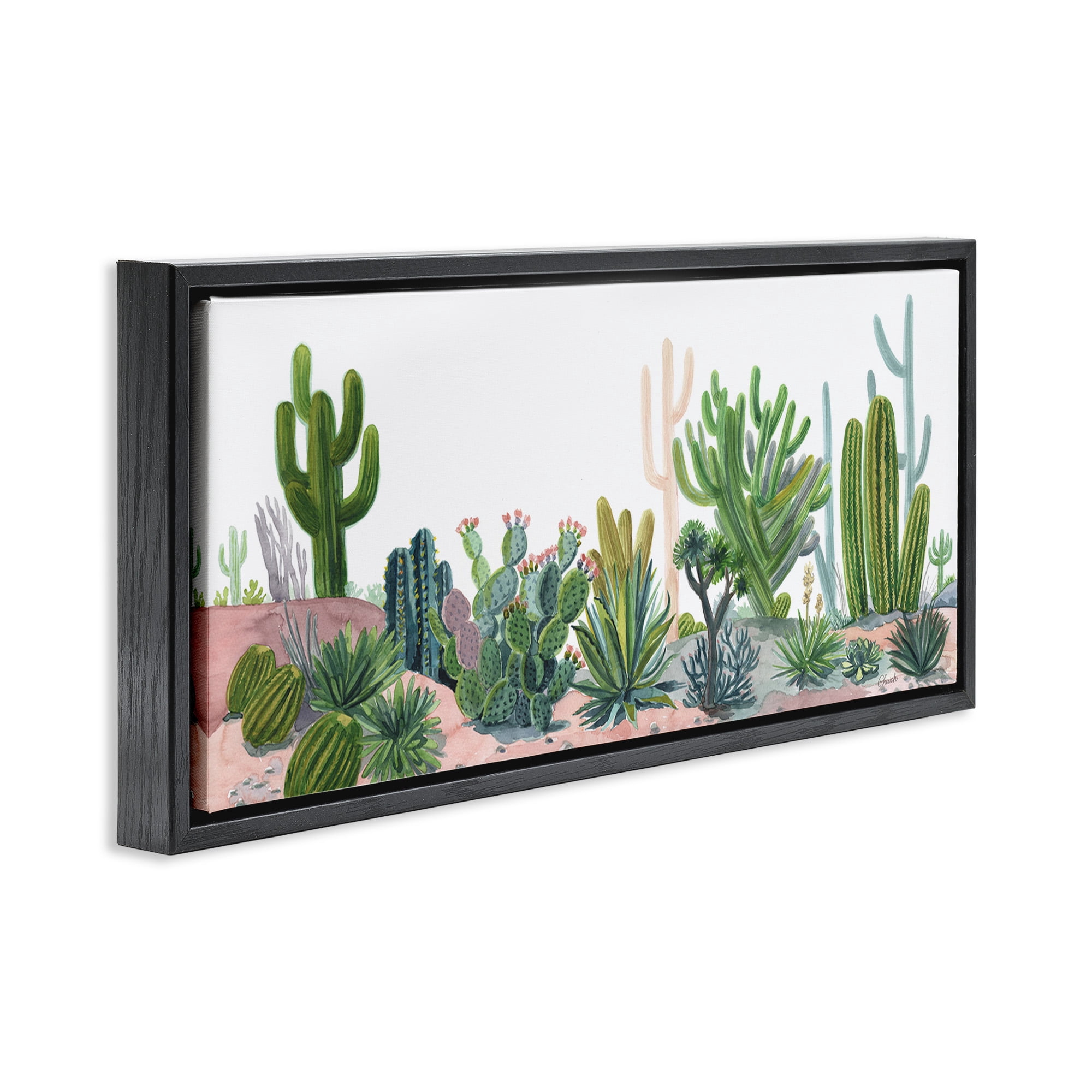Stupell Industries Varied Desert Vegetation Cacti Botanical & Floral Painting Black Floater Framed Canvas Art Print Wall Art, 25 x 11