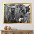 thumbnail image 3 of Designart 'Close Up Of Scottish Cow On Moorland II' Farmhouse Framed Art Print, 3 of 4