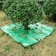 thumbnail image 5 of Xihbxyly Lona para Podar Jardines, Multiusos, Recogedor de Hojas, Diseño de Hule Duradero, Fácil de Usar y Limpiar, Ideal para Podar Árboles y Arbustos, y para El Mantenimiento de Jardines Exteriores, 5 of 6