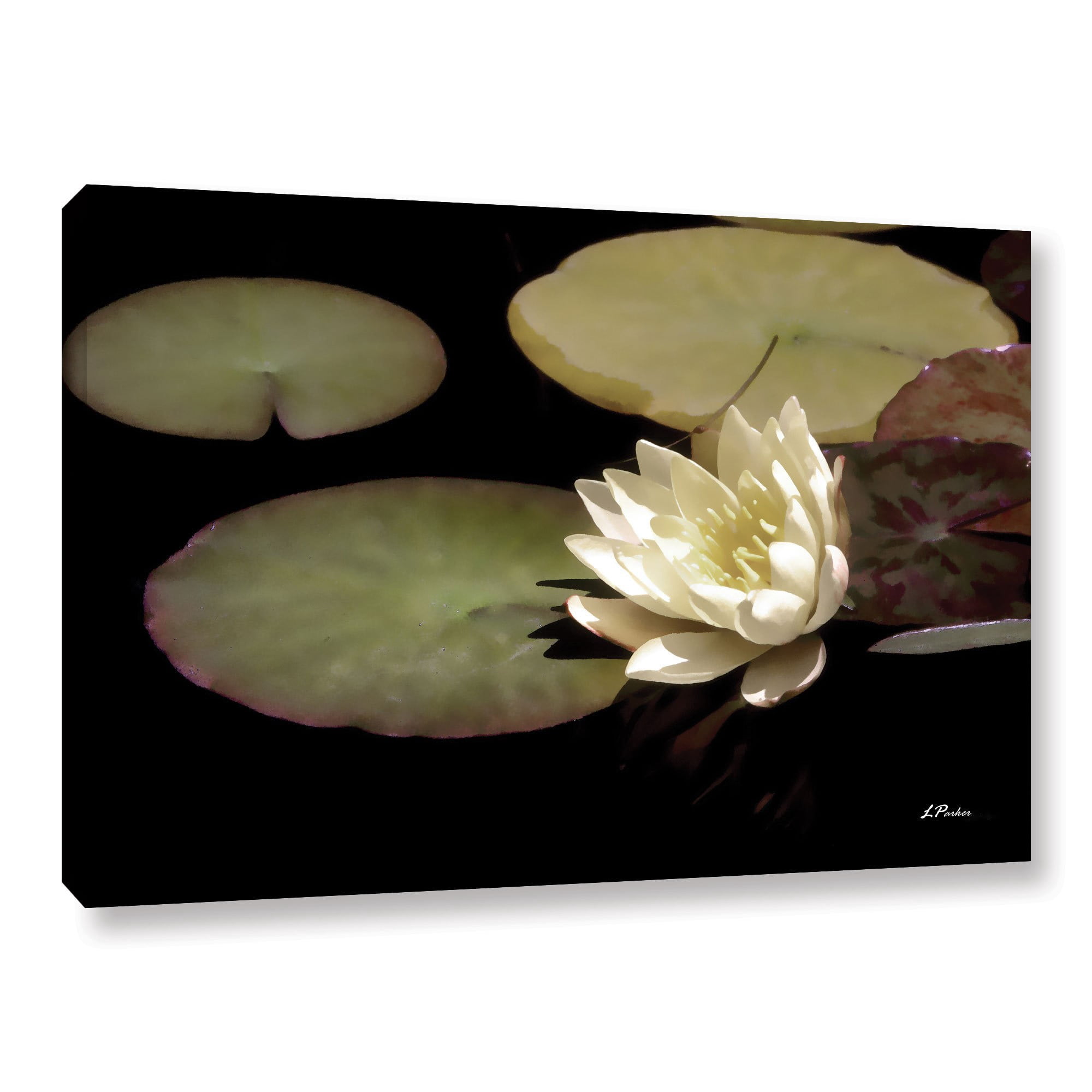 ArtWall Linda Parker "Water Lily I" Gallery-wrapped Canvas