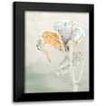 thumbnail image 1 of Murdock, Ramona 20x24 Black Modern Framed Museum Art Print Titled - Milkweed Pod II, 1 of 5