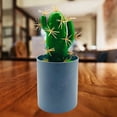 thumbnail image 6 of Kripyery Artificial Bonsai No Wilting Fresh-keeping PVC Cute Faux Cactus with Pot Desktop Decor, 6 of 8